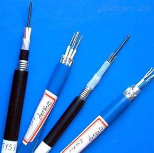 鎧裝屏蔽計算機(jī)電纜